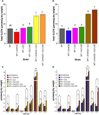 The impact of the GLOSSY2 and GLOSSY2-LIKE BAHD-proteins in affecting the product profile of the maize fatty acid elongase